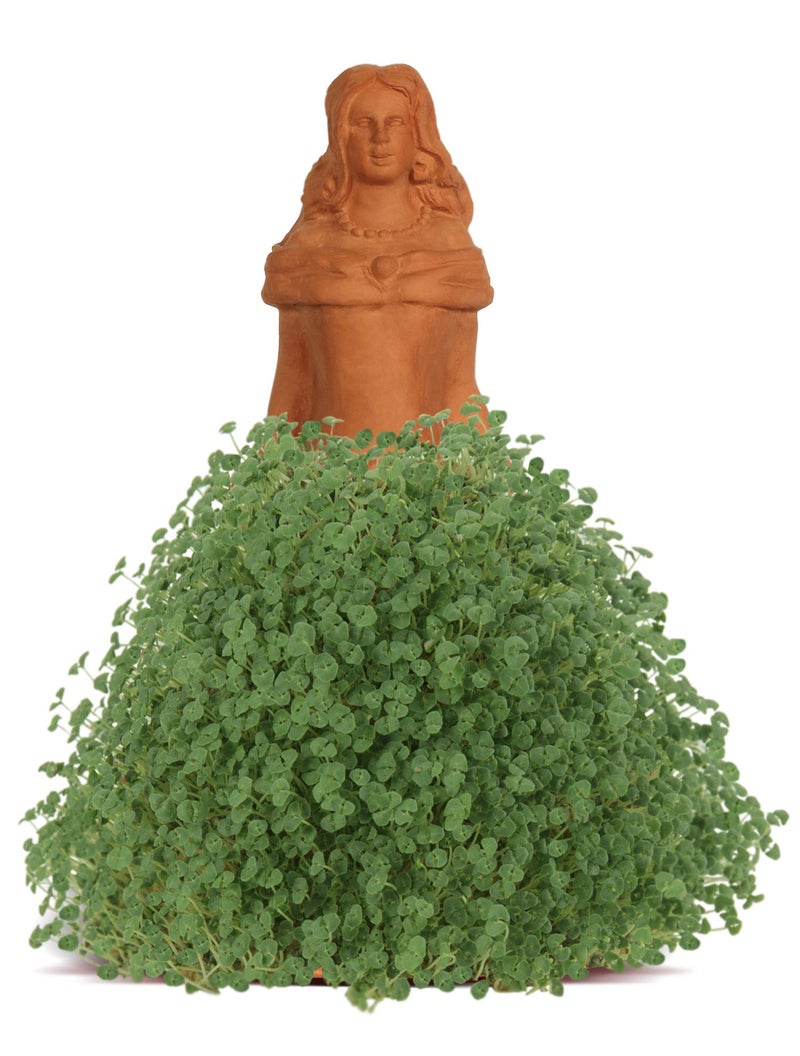 Chia Pet Princess with Seed Pack, Decorative Pottery Planter, Easy to Do and Fun to Grow, Novelty Gift, Perfect for Any Occasion - Image 2